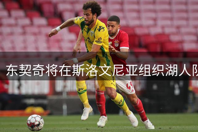 东契奇将在斯洛文尼亚组织湖人队迷你训练营